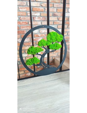 Drzewko bonsai z mchem 40cm