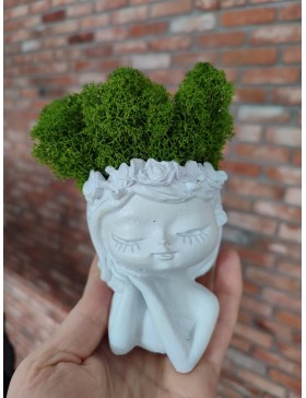 Doniczka Fiona z chrobotkiem