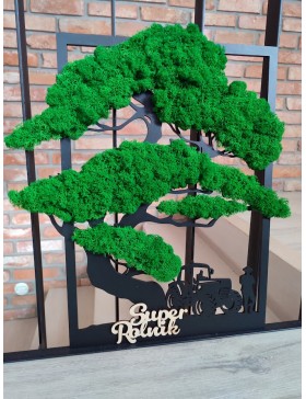 Obraz drzewko z chrobotkiem...