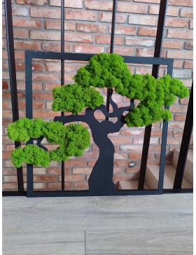 Piękne drzewko z...