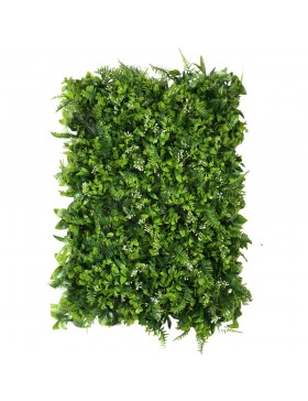 Zielona ściana Macierzanka...