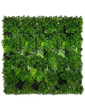 Ogród wertykalny Moss Mesh