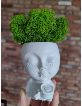 Doniczka z chrobotkiem Mia...