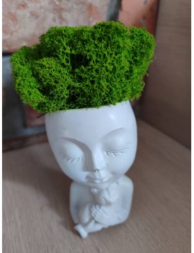 Doniczka z chrobotkiem Mia...