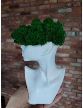 Doniczka głowa z...