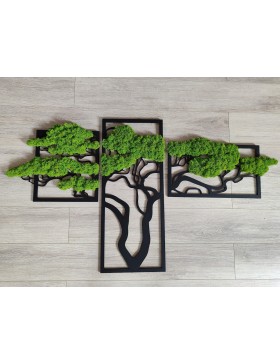 Tryptyk, drzewko bonsai z...