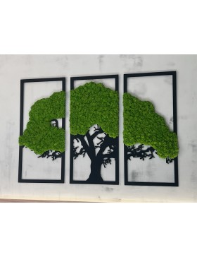 Tryptyk drzewko z mchem...