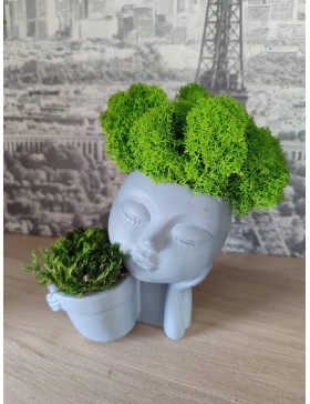 Doniczka z chrobotkiem duo,...