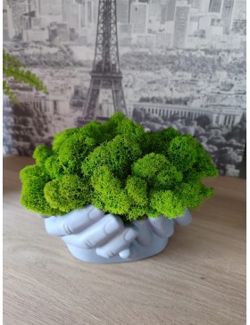 Betonowe dłonie z chrobotkiem