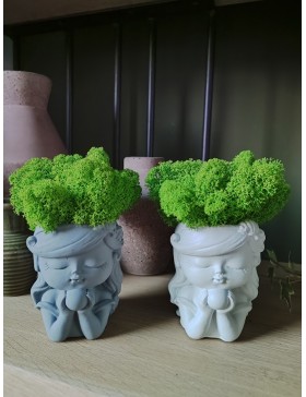 Doniczka z chrobotkiem...