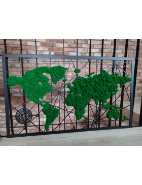 Obraz z mchem, mapa świata,...