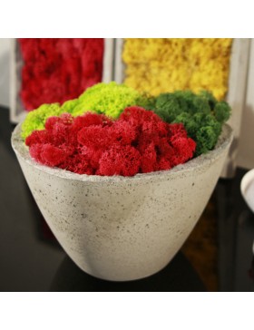 Donica betonowa bielona...