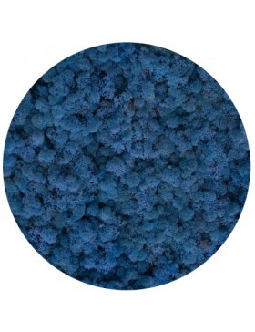 Mech chrobotek lavender...