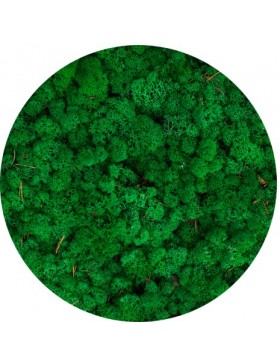 Mech chrobotek Grass green 50g