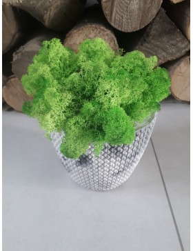 Doniczka plecionka z...