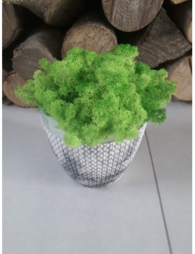 Donica plecionka z...