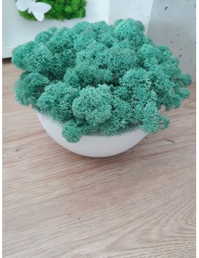 Mech chrobotek pacific blue...