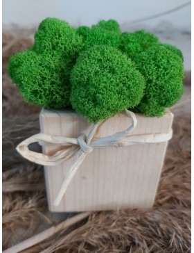 Drewniany kubeczek z...