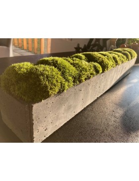 Donica betonowa z mchem...