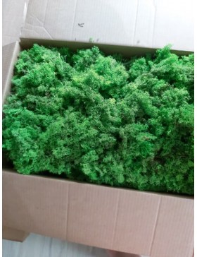 Ściółka z chrobotka 2kg