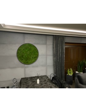 Obraz-okrąg z mchu...