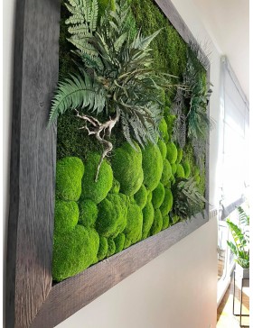 Obraz z mchu i roślin