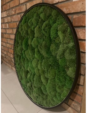 Panel z mchu poduszkowego...