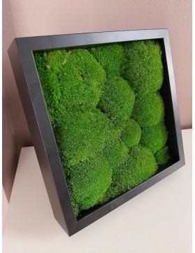 Obraz z mchu w czarnej ramie