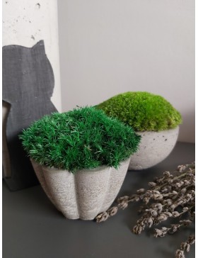 Kubeczek, dekoracja z mchem