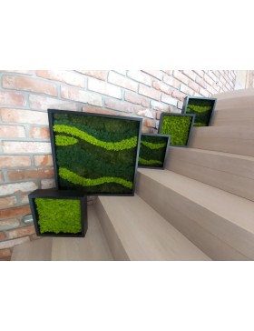 Obraz z mchu 27x27cm