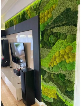 Panel z mchów mieszanych na...