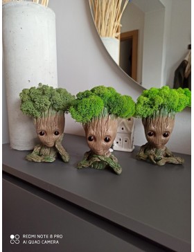 Doniczka z mchem, grott