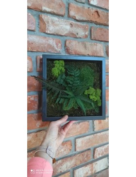 Obraz z mchu i roślin