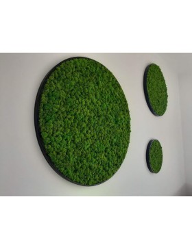 Panel okrągły z chrobotka w...