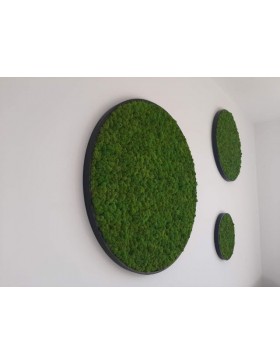 Panel okrągły z chrobotka w...