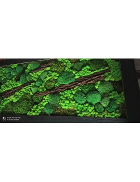 Obraz z mchów i kory 80x160cm