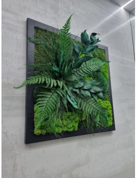 Obraz z mchów i roślin 50x50cm