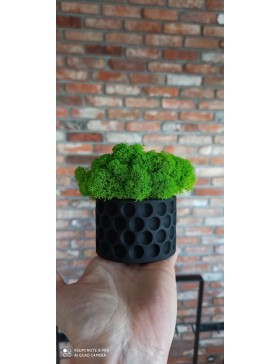 Kubeczek z mchem,...