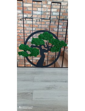 Drzewko życia z mchem 60cm