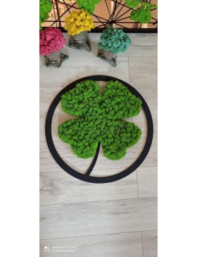 Obraz koniczyna z mchem 60cm