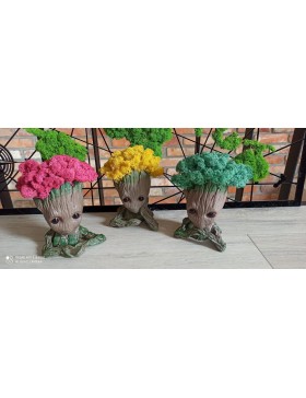 Kolorowe głowy z mchem