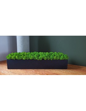 Kostka betonowa z mchem 60cm