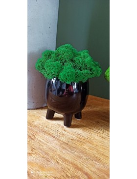 Doniczka z mchem na nóżkach